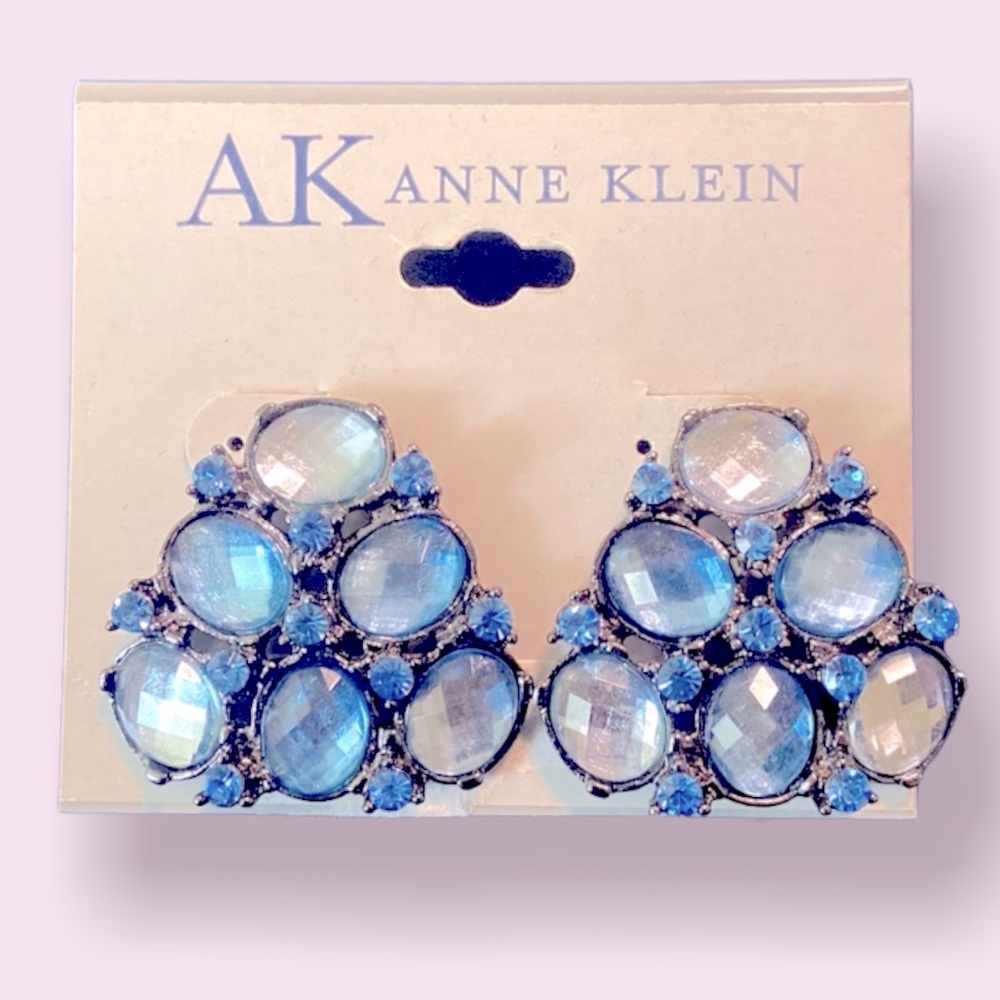 🌸2 for $15, 3 for $20🌸 Anne Klein fashion earrings blue stone